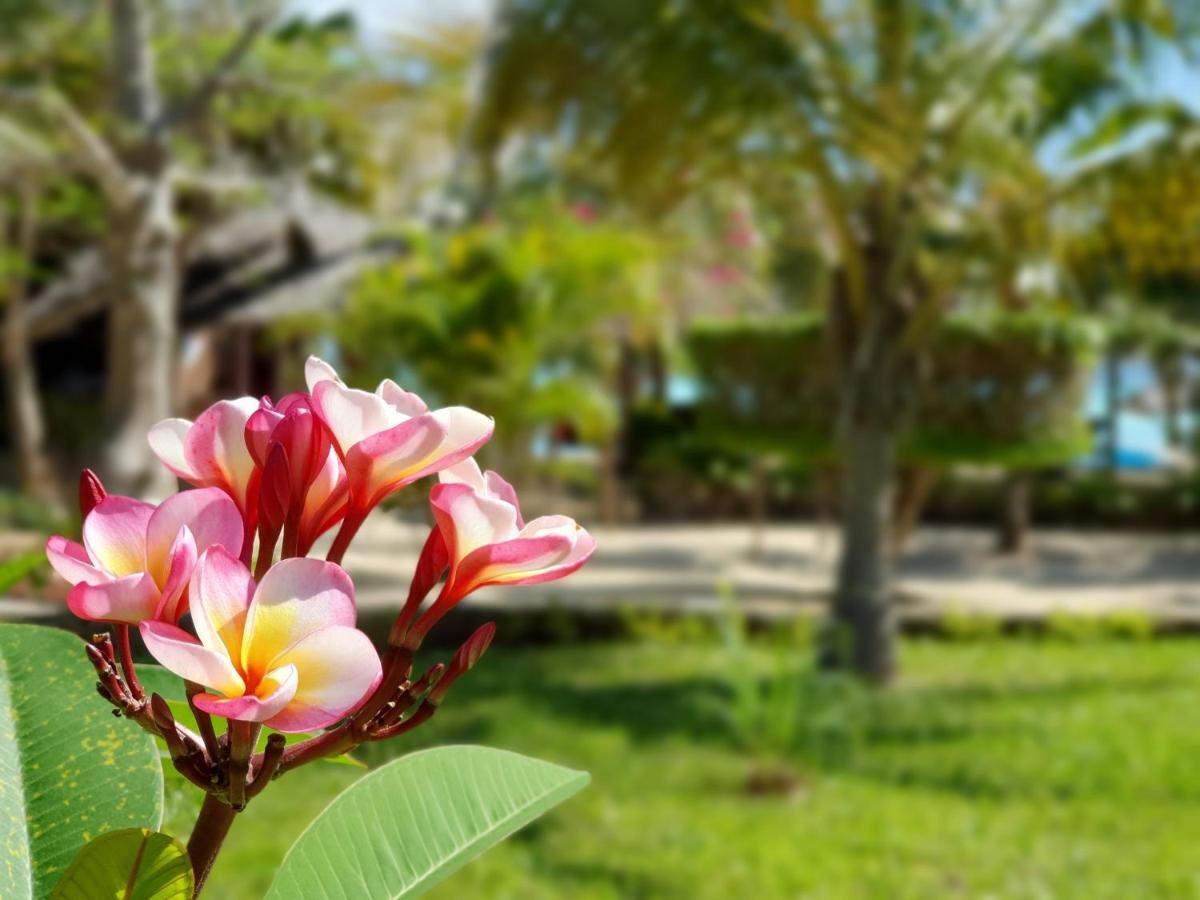 The Zanzibari Hotel Nungwi Luaran gambar